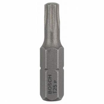 100 Puntas Torx T 20 x 1