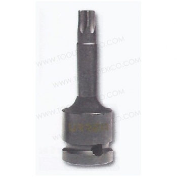 Dado Largo Con Punta Torx  T55D