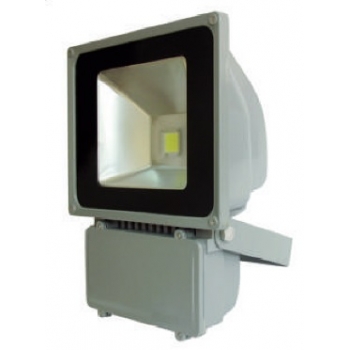 Reflector fijo LED 100 W