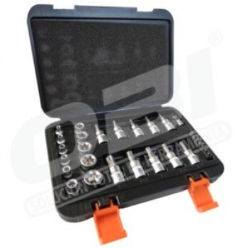 Juegode dados Torx con 29 Piezas