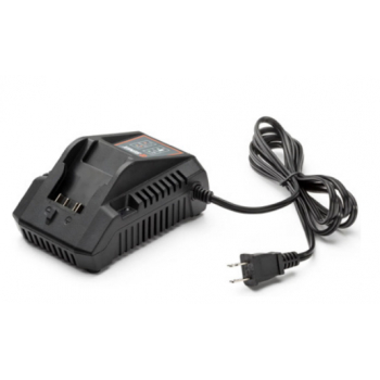 Cargador de Bateria 2A